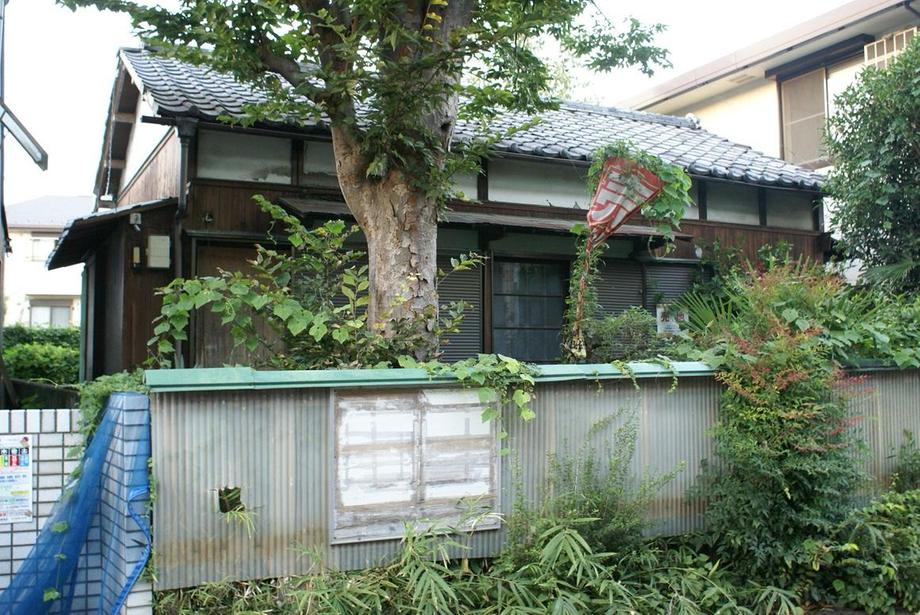 Local land photo
