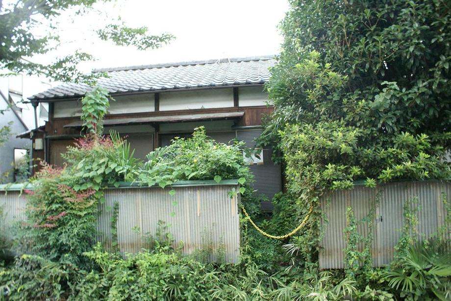 Local land photo