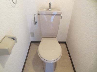 Toilet. Toilet (reference photograph of another in Room)