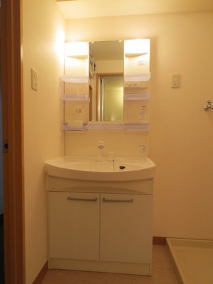 Washroom. With separate wash basin