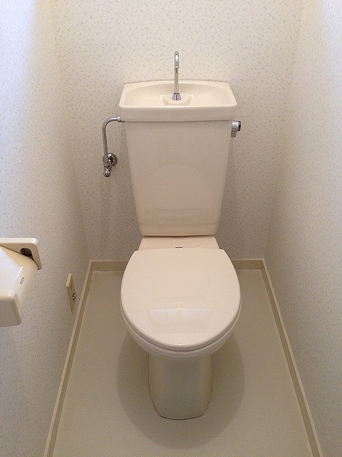 Toilet. Toilet is a clean space