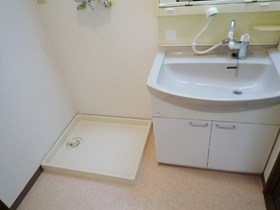 Washroom. Washbasin with shower Dresser