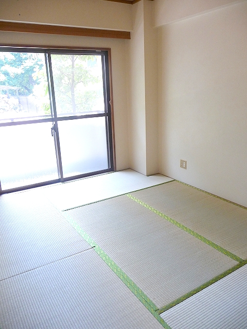 Other room space. Japanese style room