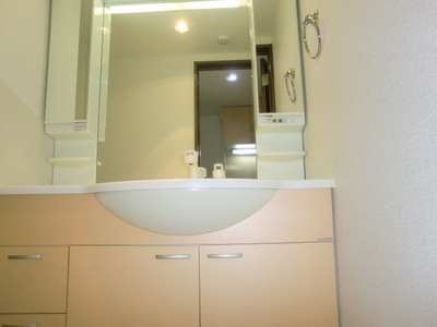 Washroom. Shampoo dresser