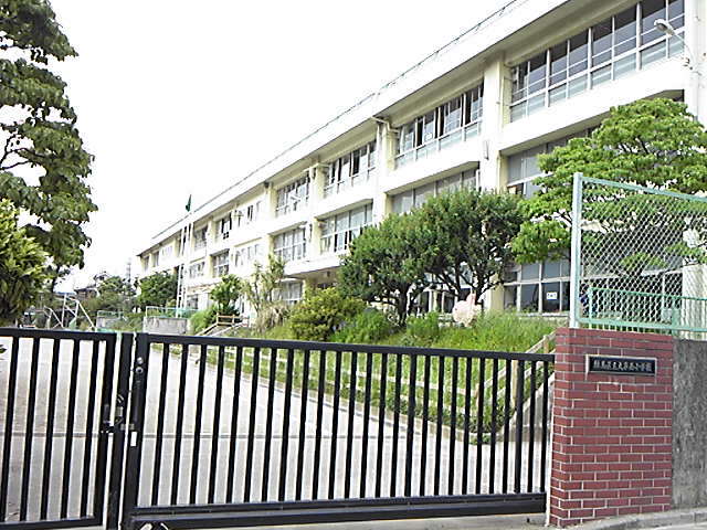 Primary school. (Elementary school) up to 400m