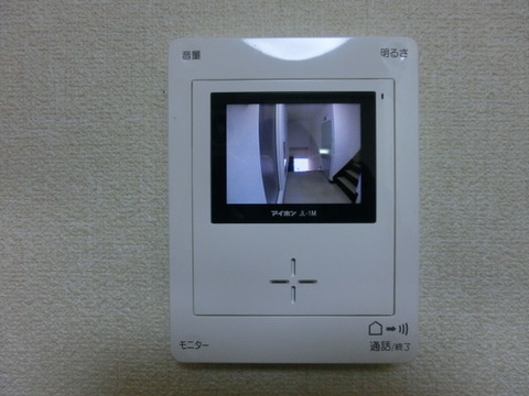 Security. Intercom with TV monitor