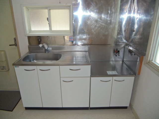 Kitchen. Sink