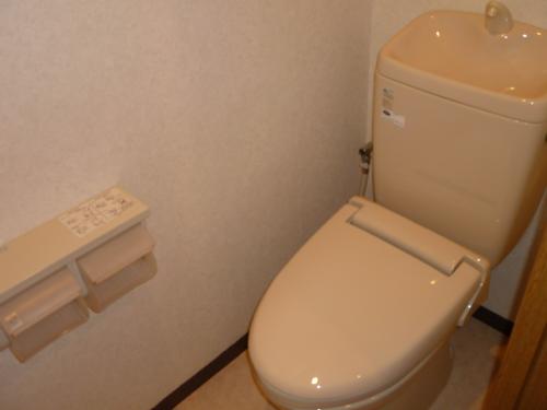 Toilet. Toilet