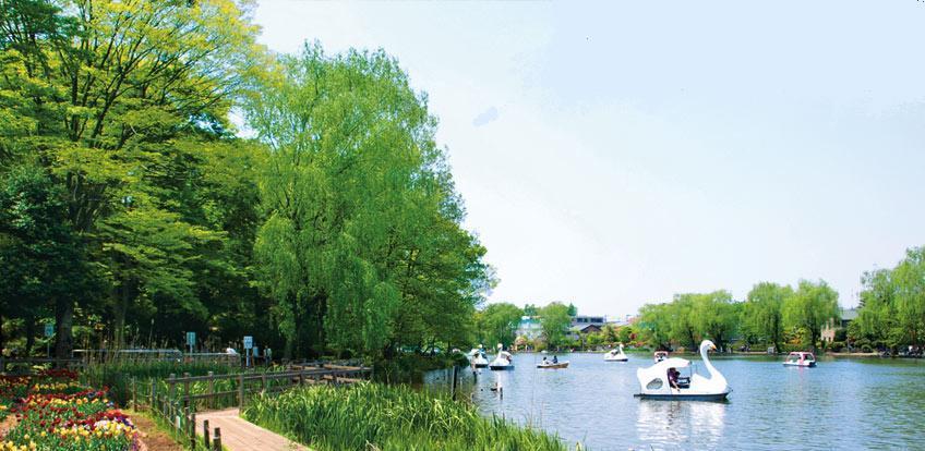 park. 2-minute walk from the popular Shakujii Park