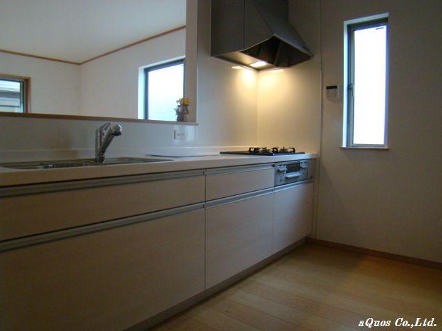 Kitchen. Indoor (11 May 2013) Shooting