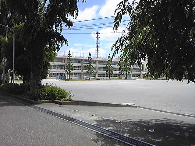 Primary school. Oizumigakuen Sakura 200m up to elementary school (elementary school)