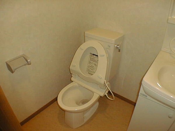 Other. Toilet