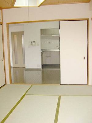 Living and room. Japanese style room