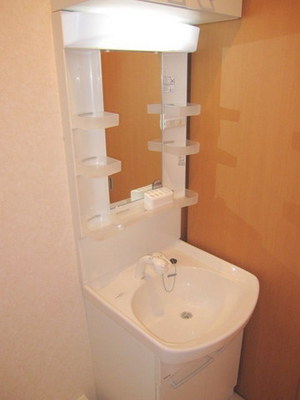 Washroom. Shampoo dresser