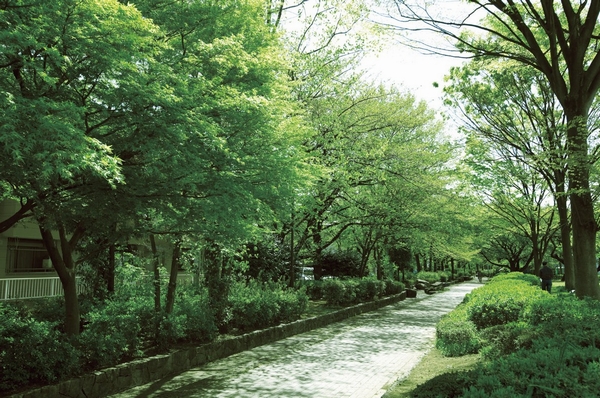 Johoku maximum of "Metropolitan Johoku central park" district (1190m / A 15-minute walk)