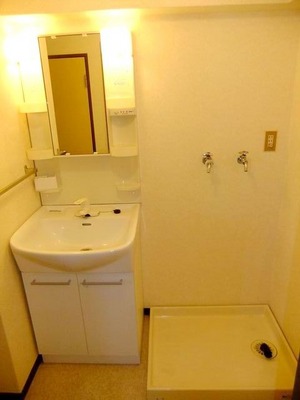 Washroom. Vanity and Laundry Area