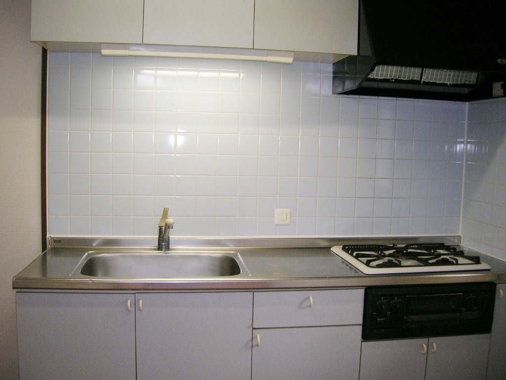 Kitchen. Reference photograph