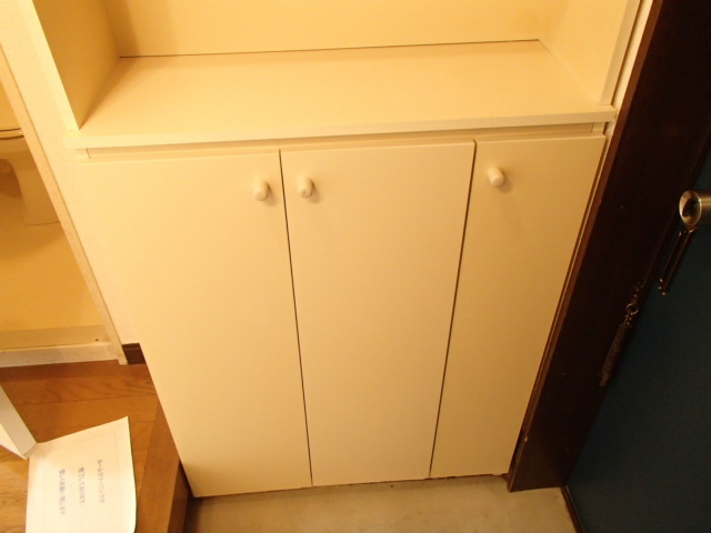 Entrance. Shoe box