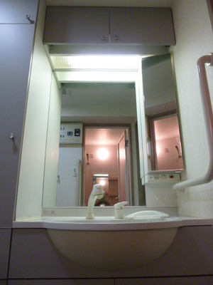 Washroom. Shampoo dresser