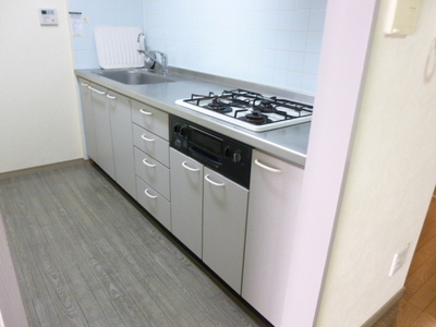 Kitchen. System kitchen