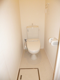 Toilet. With Washlet