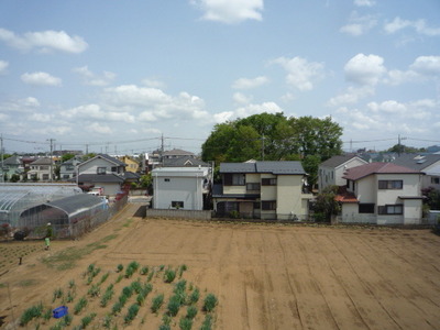 View. The east side of the landscape (idyllic field has spread)