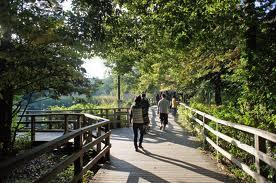 Other. It is optimally healthy to walk healthy in physical training while taking a walk in the park. 