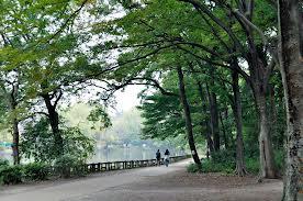 Other. Morning jogging ・ It is ideal for a walk course. 