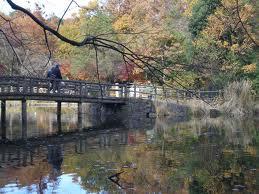How to spend the holiday will enhance. You can refresh the tired of the day-to-day look forward to reading and landscape. 