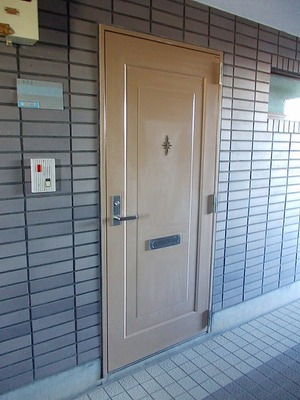 Entrance. Entrance door