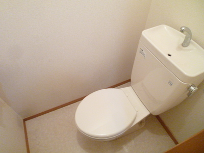 Toilet. Toilet with cleanliness