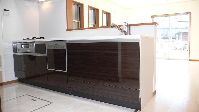 Kitchen. Face-to-face kitchen dishwasher (October 2013) Shooting