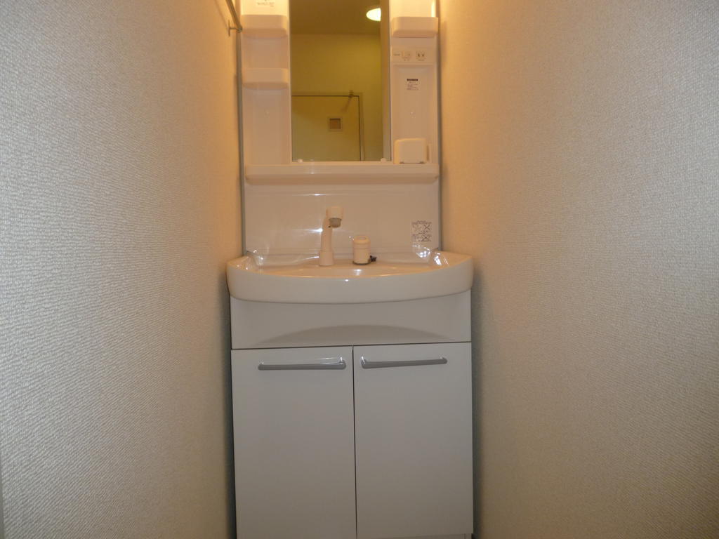 Washroom. Bathroom Vanity