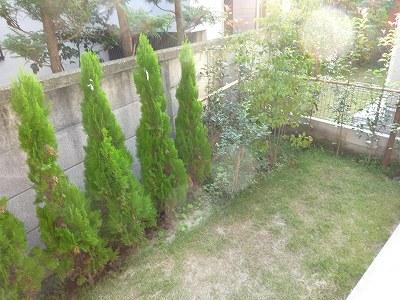 Garden. Local (10 May 2013) Shooting