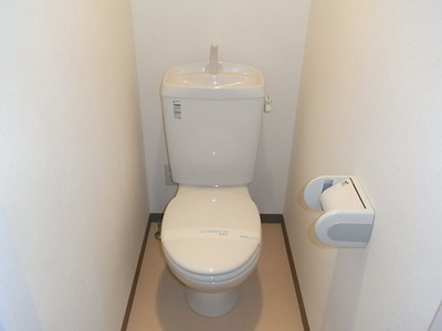 Toilet. Toilet