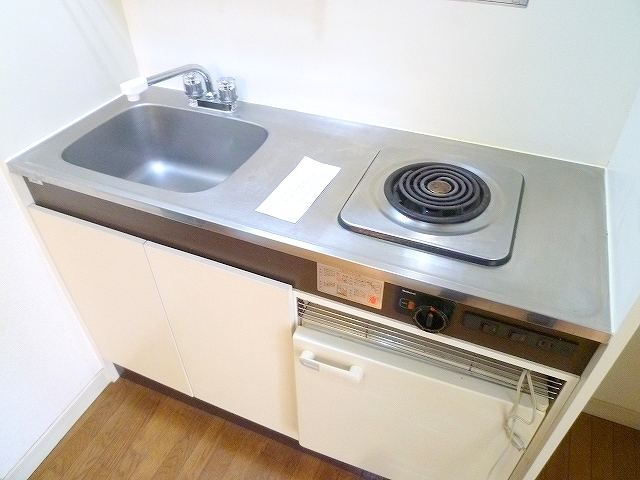 Kitchen. Electric stove, Mini fridge with