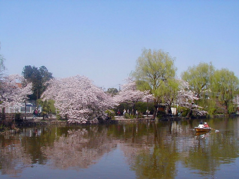 park. 300m to the boat pond Shakujii Park (Park)