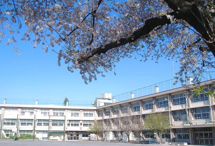 Primary school. 621m to Nerima Tatsuta pattern the second elementary school (elementary school)