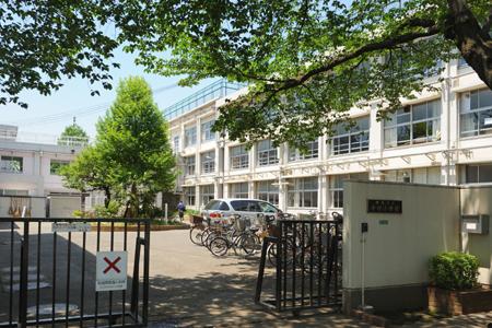 Primary school. 504m to Nerima Tatsunaka village primary school