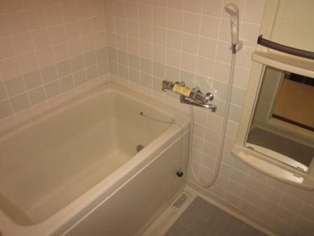 Bath. With bathroom dryer