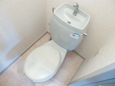 Toilet. Toilet