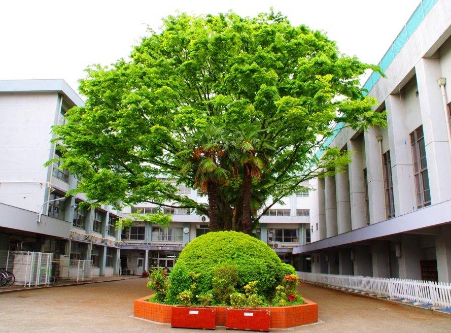 Junior high school. 1120m to Nerima Tatsuseki junior high school