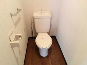 Toilet. Toilet (separate room reference photograph)