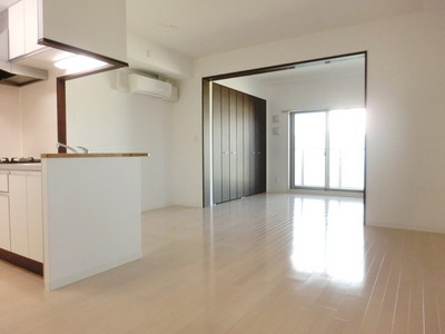 Living and room. Spacious interior All flooring