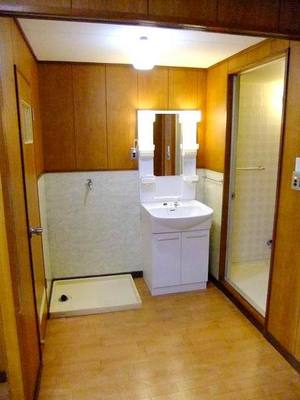 Washroom. Vanity and Laundry Area (waterproof bread)