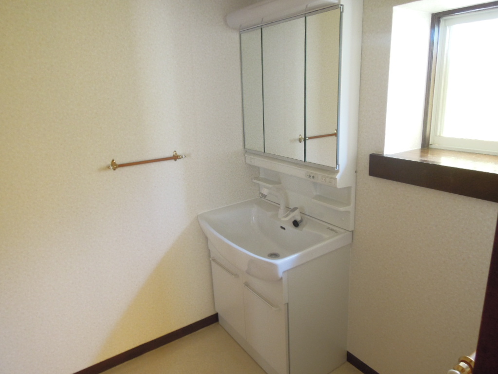 Washroom. Shampoo dresser