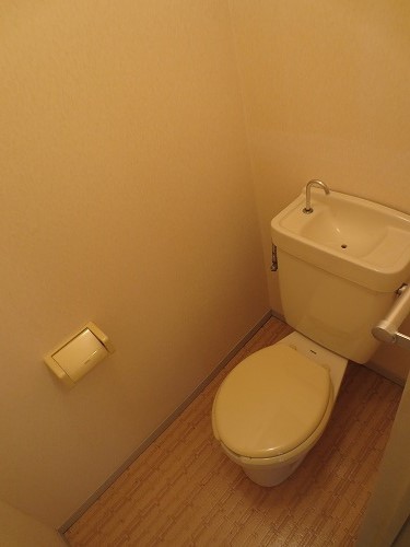 Toilet. Toilet