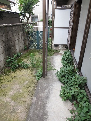 Balcony. Veranda