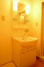 Washroom. Shampoo dresser