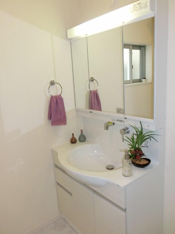 Wash basin, toilet. (Example of construction)